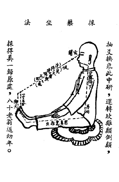 九節玄功-採藥
